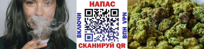 Шишки марихуана Bruce Banner  Пыть-Ях 